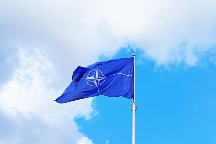 NATO ülkeleri hangileri, NATOya hangi ülkeler üye NATO üyeleri ülkeler arasında Türkiye var mı İşte NATO üyesi ülkeler listesi…