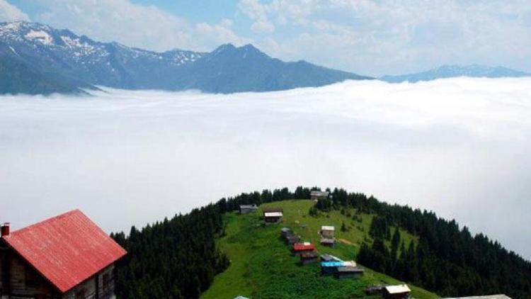 Rize