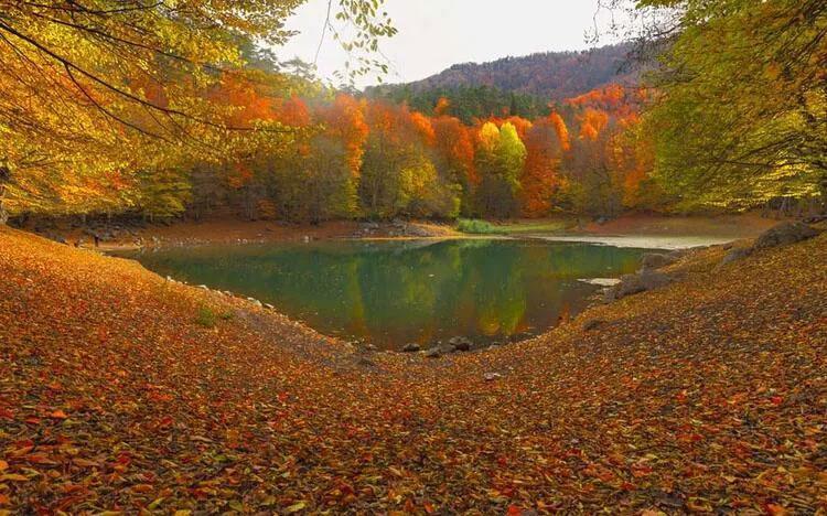 Bolu