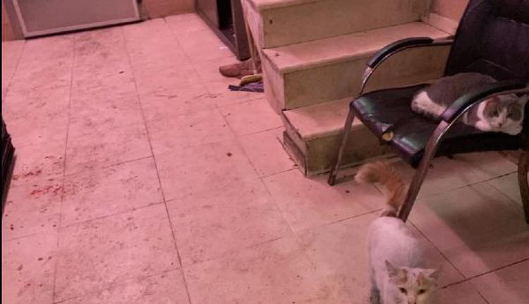 İstanbuldaki et halinde hijyen tartışması