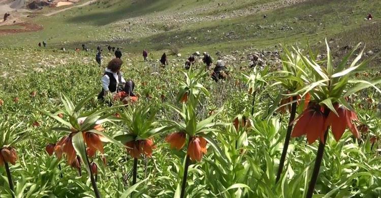 “Umarım bu dağa güzellikleri devam eder ve güzel yaşatılır”