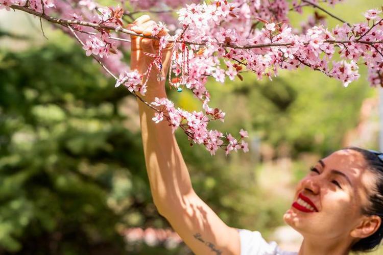 Hıdırellez duası hangi gün, ne zaman yapılır Hıdırellez duası nedir Hıdırellez’de 40 kere okunan dua