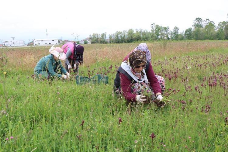 “Yaşı 250, kurusu 2 bin TLye satılıyor”