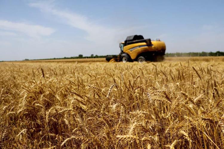 Çiftçilik ve hayvancılıkta yeni dönem başlıyor Talimat verildi