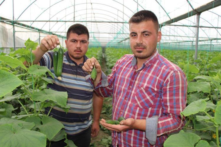 “Onları öldürmek istemiyoruz. Çakal kardeş bizim yakamızı bırak”