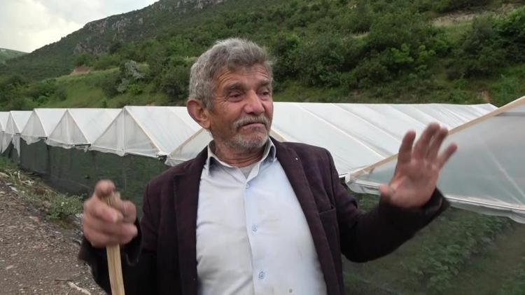 Hayvanlar demek ki aç. Ne yapsın