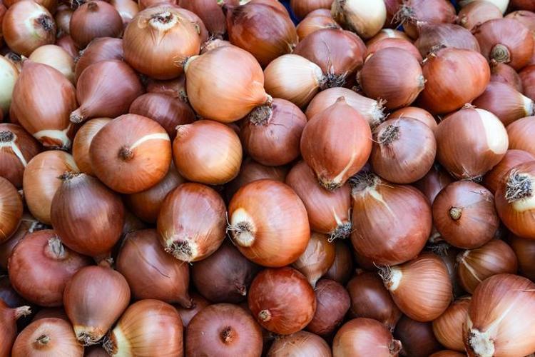 Üreticide yüzde 50, markette yüzde 24 düştü Kuru soğan fiyatı ile ilgili yeni açıklama