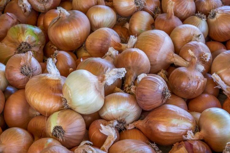 Üreticide yüzde 50, markette yüzde 24 düştü Kuru soğan fiyatı ile ilgili yeni açıklama