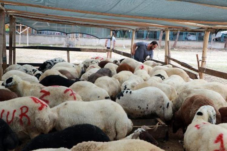 Kurban Bayramı öncesi ‘karantina’ uyarısı