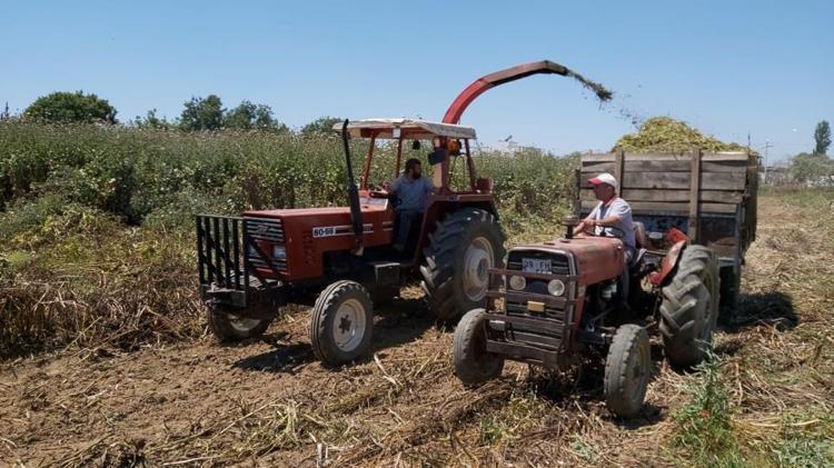 Çiftçilerin kabusuydu, çok faydalı olduğu ortaya çıktı Yüzde 99 oranında yok ediyor