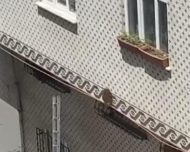 ÇOĞALMAK İÇİN YAPIYORLAR