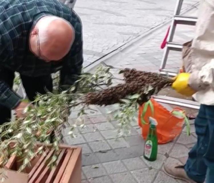 İstanbulda birçok ilçede arı tedirginliği