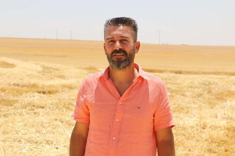 Hububatta tarihi rekolte: Çiftçinin yüzü güldü