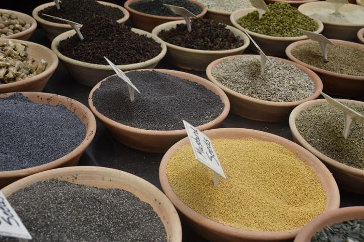 Acı Yavşan Otu Nedir