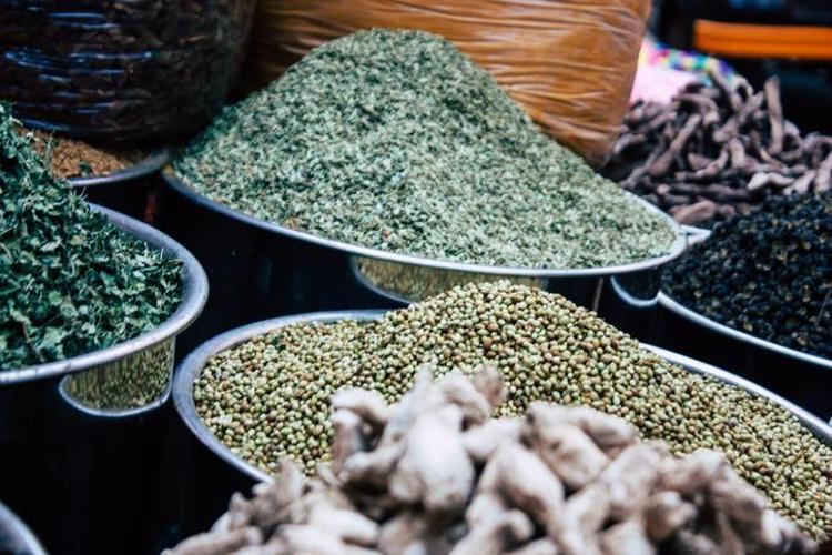 Acı Yavşan Otu Türkiyede Nerelerde Yetişir