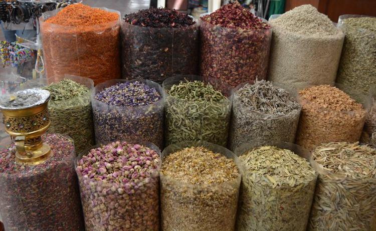 Açlık Otu Nedir