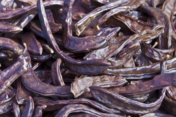 Son araştırma noktayı koydu: Bu yiyecekler sperm miktarını ve kalitesini artırıyor