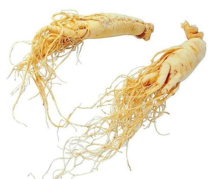 Son araştırma noktayı koydu: Bu yiyecekler sperm miktarını ve kalitesini artırıyor