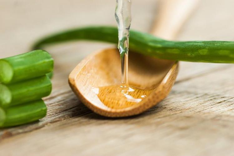 Aloe Vera Kullanılırken Yapılması Gerekenler