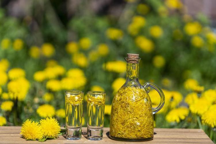 Altın Otu Çayında Hangi Vitaminler Vardır