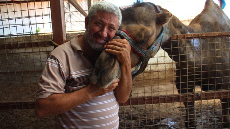 Araba fiyatına kurbanlık develer yok satıyor Sadece 1 deve kaldı