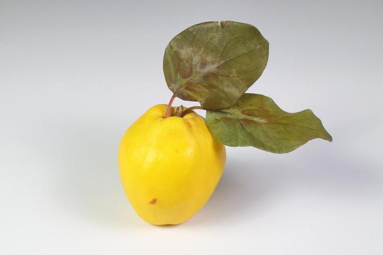 Vitamin ve mineral değerleri ise şu şekildedir;