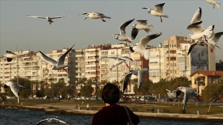 Kiracı ve ev sahipleri için yeni dönem başladı 1 ay süresi var