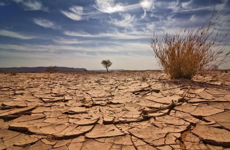2023’te El Nino ateşi kavuracak ‘Öldürücü olabilir’