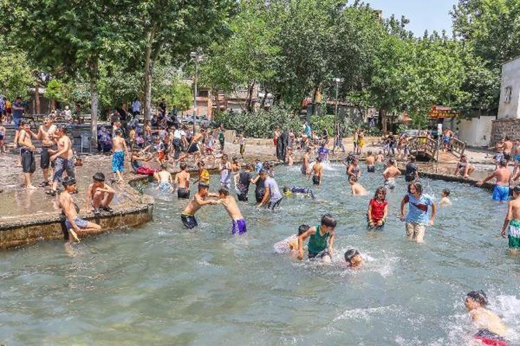 ORTA ve DOĞU KARADENİZ