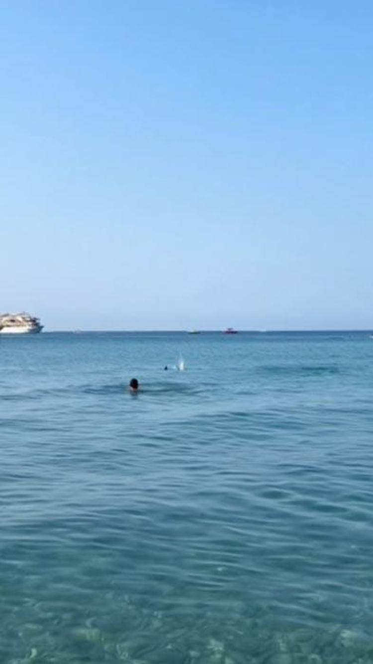 Denizde panik anları Köpek balığı sanılarak taşlandı, nesli tükenmekte olan tür çıktı