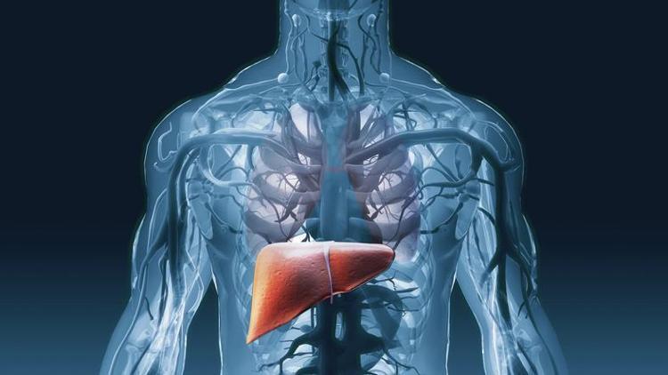 Hepatit B, Hepatit C veya diğer hepatit enfeksiyonları: