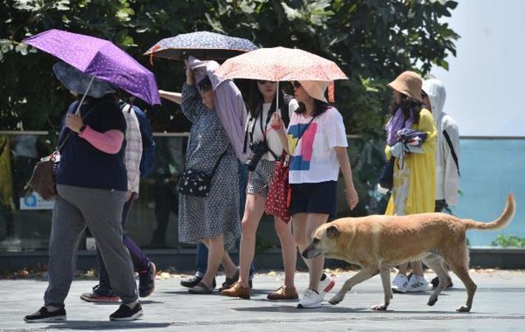 Meteorolojiden son dakika uyarısı Sıcak hava dalgası etkisini artıracak