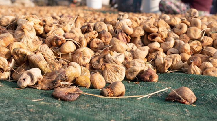 Kanserin bir numaralı düşmanı, kalp sağlığına iyi geliyor İşte beyaz altının faydaları