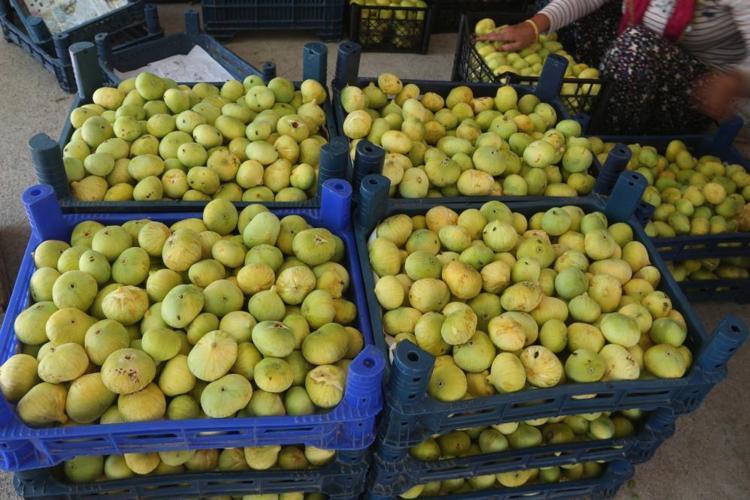 Kanserin bir numaralı düşmanı, kalp sağlığına iyi geliyor İşte beyaz altının faydaları