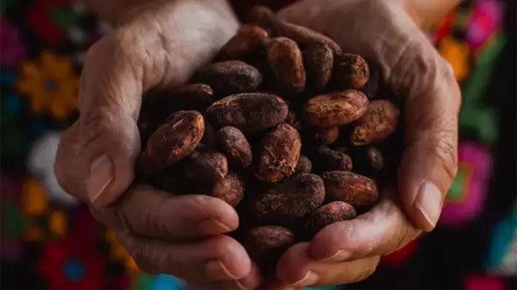ABDli bilim insanları açıkladı:O besin beyni gençleştiriyor