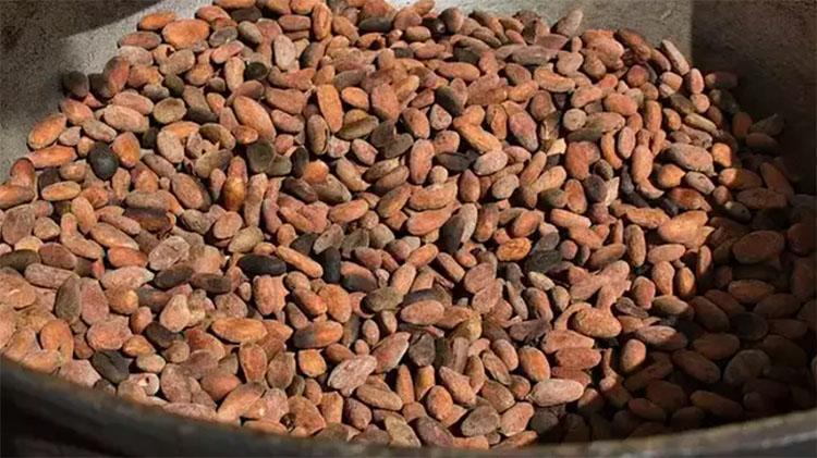 ABDli bilim insanları açıkladı:O besin beyni gençleştiriyor