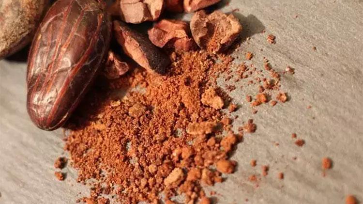 ABDli bilim insanları açıkladı:O besin beyni gençleştiriyor