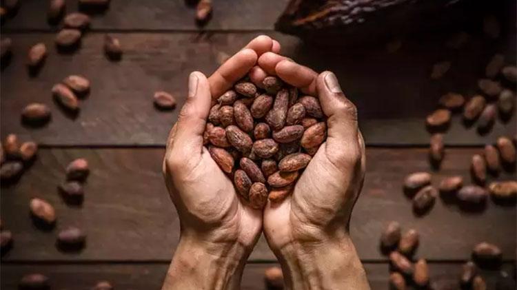 ABDli bilim insanları açıkladı:O besin beyni gençleştiriyor