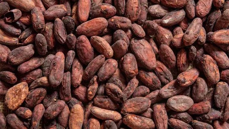 ABDli bilim insanları açıkladı:O besin beyni gençleştiriyor