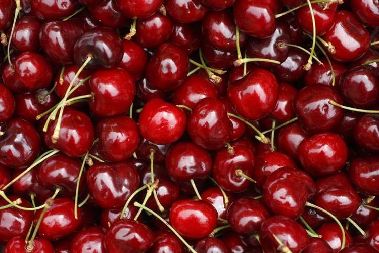 Obezite, parkinson, diyabet, ve kansere neden oluyor Canan Karatay uyardı
