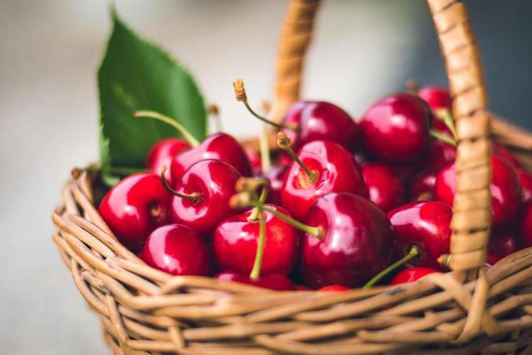 Obezite, parkinson, diyabet, ve kansere neden oluyor Canan Karatay uyardı