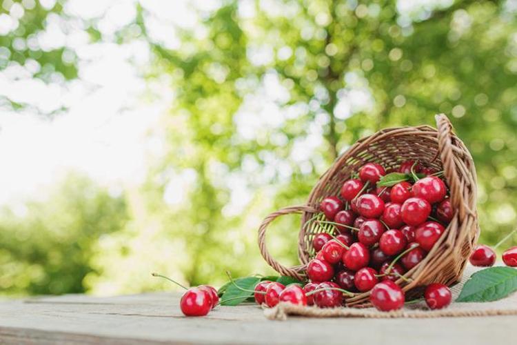Obezite, parkinson, diyabet, ve kansere neden oluyor Canan Karatay uyardı