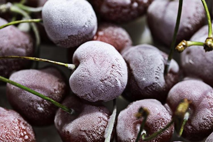 Obezite, parkinson, diyabet, ve kansere neden oluyor Canan Karatay uyardı