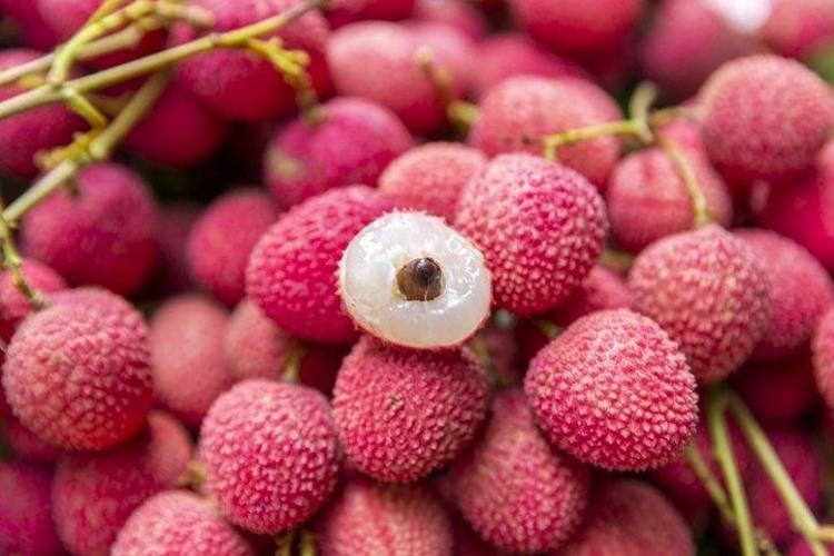 C vitamininde portakala fark atıyor En az 10 yıl geç yaşlanmak garanti Bir tanesi bile şifa oluyor