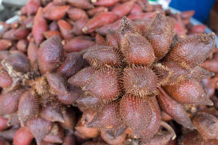 Şifa deposu pondoh meyvesinin vücuda sağladığı faydalar saymakla bitmiyor Yılan meyvesinin kanseri önleyici etkileri...