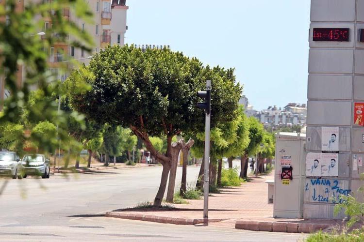 Meteorolojiden hava sıcaklığı uyarısı 11 derece birden artacak, 5 günlük rapor yayımlandı