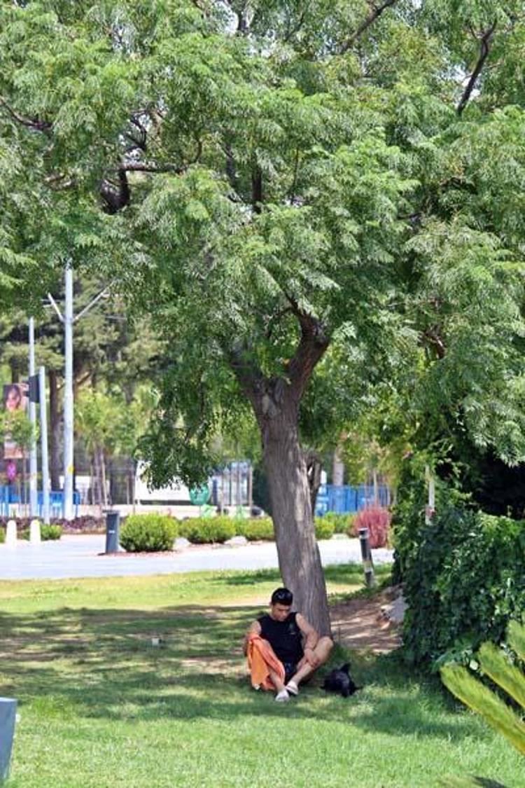 Meteorolojiden hava sıcaklığı uyarısı 11 derece birden artacak, 5 günlük rapor yayımlandı
