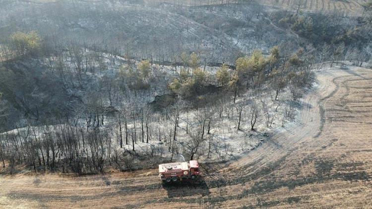 Çanakkalede orman yangıyla mücadele sürüyor Bakan Yumaklı son durumu açıkladı