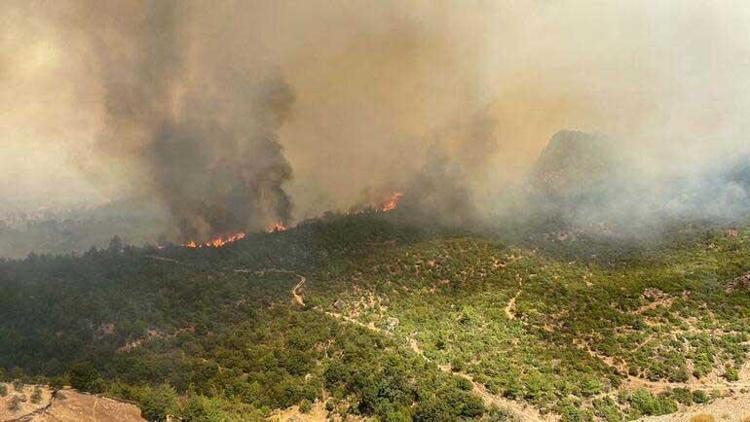 Çanakkale yangın haritası (NASA) Çanakkale orman yangını son dakika: Çanakkale’de orman yangını nerede Çanakkalede yangın nerede çıktı