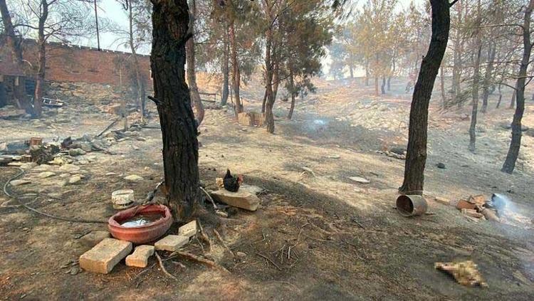 Çanakkale yangın haritası (NASA) Çanakkale orman yangını son dakika: Çanakkale’de orman yangını nerede Çanakkalede yangın nerede çıktı